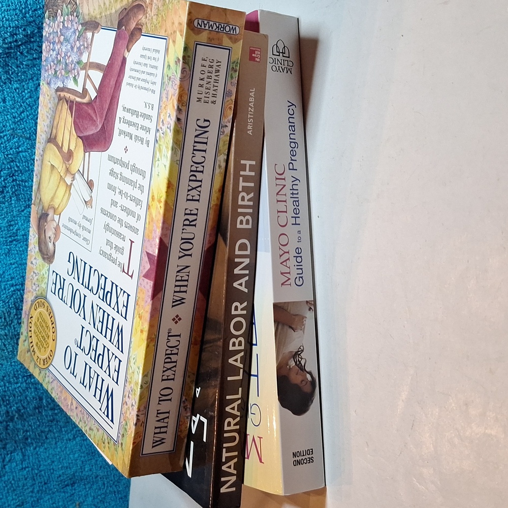 Pregnancy Book Bundle, Maternity Books, Mom Books Book Bindle - Picture 8 of 10
